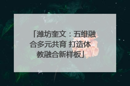 潍坊奎文：五维融合多元共育 打造体教融合新样板