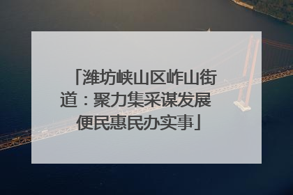 潍坊峡山区岞山街道：聚力集采谋发展 便民惠民办实事