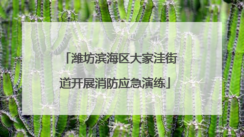 潍坊滨海区大家洼街道开展消防应急演练
