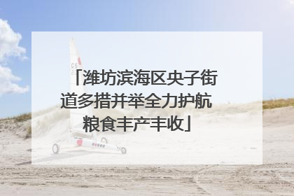潍坊滨海区央子街道多措并举全力护航粮食丰产丰收