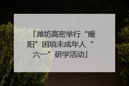 潍坊高密举行“暖阳”困境未成年人“六一”研学活动
