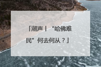 潮声丨“哈佛难民”何去何从？