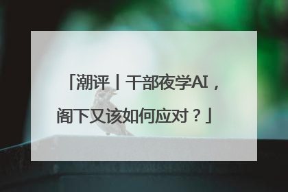 潮评丨干部夜学AI，阁下又该如何应对？