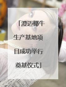 澄迈椰牛生产基地项目成功举行奠基仪式