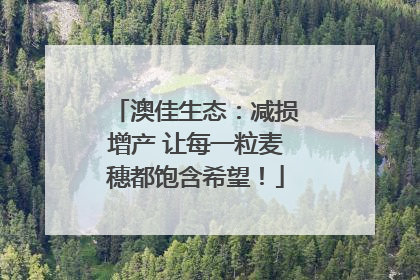 澳佳生态：减损增产 让每一粒麦穗都饱含希望！