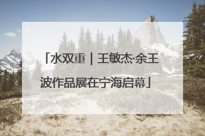 水双重｜王敏杰·余王波作品展在宁海启幕