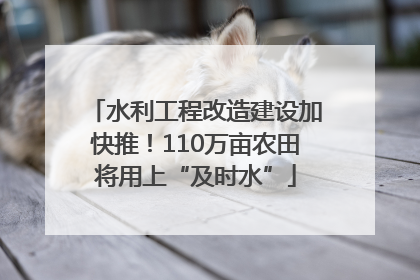 水利工程改造建设加快推！110万亩农田将用上“及时水”