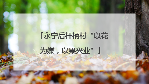 永宁后杆柄村“以花为媒，以果兴业”