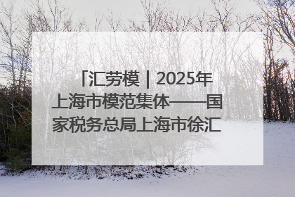 汇劳模｜2025年上海市模范集体——国家税务总局上海市徐汇区税务局第一税务所