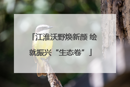 江淮沃野焕新颜 绘就振兴“生态卷”