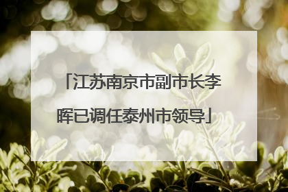 江苏南京市副市长李晖已调任泰州市领导