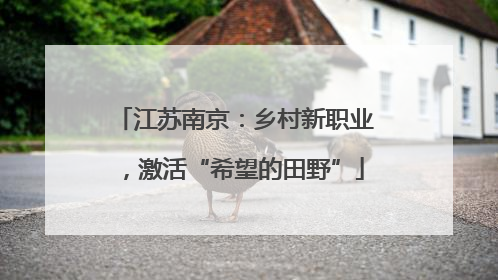 江苏南京：乡村新职业，激活“希望的田野”