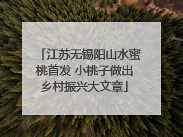 江苏无锡阳山水蜜桃首发 小桃子做出乡村振兴大文章