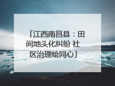 江西南昌县：田间地头化纠纷 社区治理绘同心