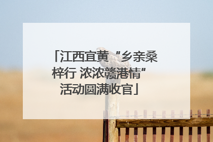 江西宜黄“乡亲桑梓行 浓浓赣港情”活动圆满收官