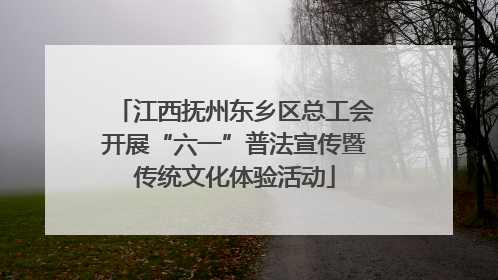 江西抚州东乡区总工会开展“六一”普法宣传暨传统文化体验活动