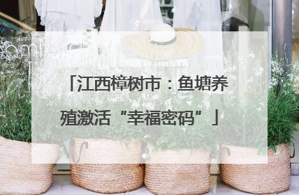 江西樟树市：鱼塘养殖激活“幸福密码”