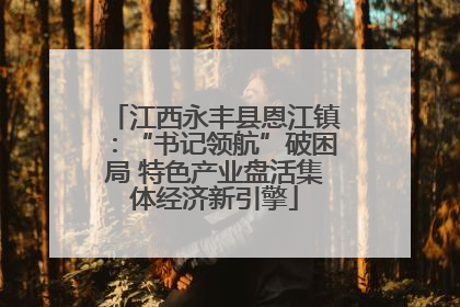 江西永丰县恩江镇：“书记领航”破困局 特色产业盘活集体经济新引擎
