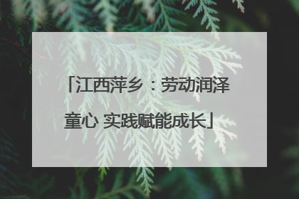 江西萍乡：劳动润泽童心 实践赋能成长
