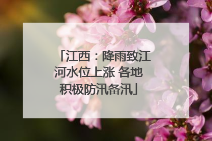 江西：降雨致江河水位上涨 各地积极防汛备汛