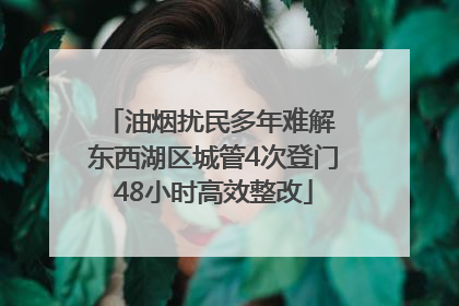油烟扰民多年难解 东西湖区城管4次登门48小时高效整改