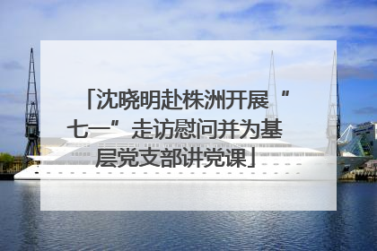 沈晓明赴株洲开展“七一”走访慰问并为基层党支部讲党课