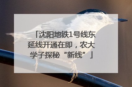 沈阳地铁1号线东延线开通在即，农大学子探秘“新线”