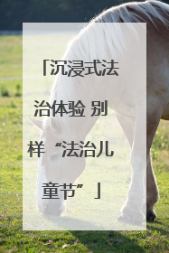 沉浸式法治体验 别样“法治儿童节”