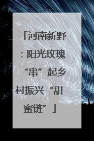 河南新野：阳光玫瑰“串”起乡村振兴“甜蜜链”