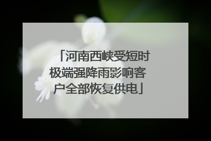 河南西峡受短时极端强降雨影响客户全部恢复供电