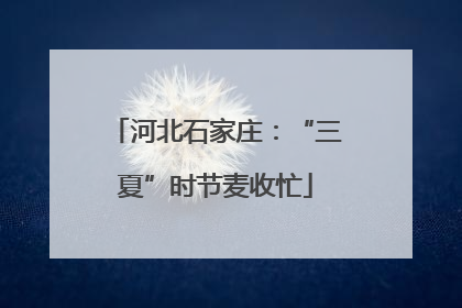 河北石家庄：“三夏”时节麦收忙