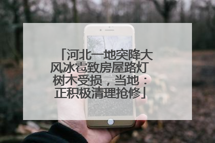 河北一地突降大风冰雹致房屋路灯树木受损，当地：正积极清理抢修