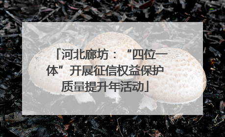 河北廊坊：“四位一体”开展征信权益保护质量提升年活动