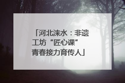 河北涞水：非遗工坊“匠心课” 青春接力育传人