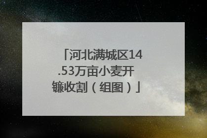 河北满城区14.53万亩小麦开镰收割（组图）