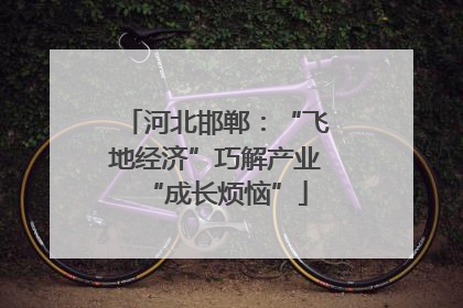 河北邯郸：“飞地经济”巧解产业“成长烦恼”