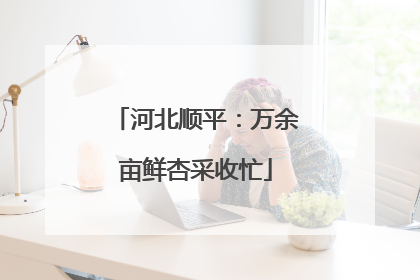 河北顺平：万余亩鲜杏采收忙