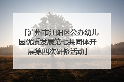 泸州市江阳区公办幼儿园优质发展第七共同体开展第四次研修活动