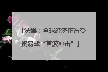 法媒：全球经济正遭受贸易战“首波冲击”