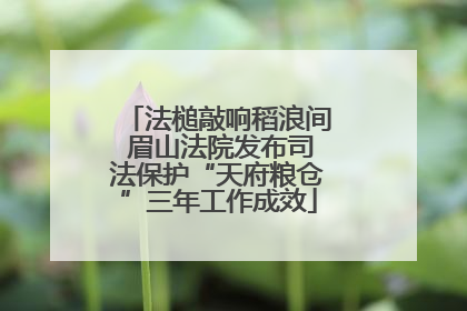 法槌敲响稻浪间 眉山法院发布司法保护“天府粮仓”三年工作成效