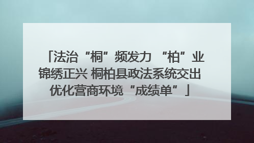 法治“桐”频发力 “柏”业锦绣正兴 桐柏县政法系统交出优化营商环境“成绩单”