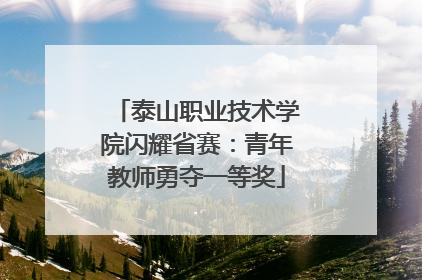 泰山职业技术学院闪耀省赛：青年教师勇夺一等奖