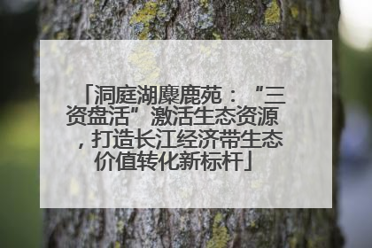 洞庭湖麋鹿苑：“三资盘活”激活生态资源，打造长江经济带生态价值转化新标杆