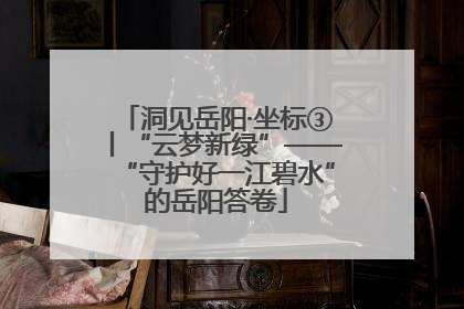 洞见岳阳·坐标③丨“云梦新绿”——“守护好一江碧水”的岳阳答卷