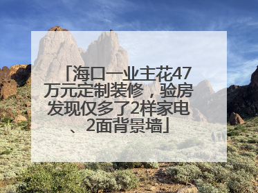 海口一业主花47万元定制装修，验房发现仅多了2样家电、2面背景墙