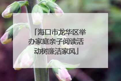 海口市龙华区举办家庭亲子阅读活动树廉洁家风