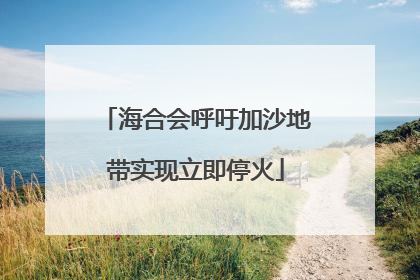 海合会呼吁加沙地带实现立即停火