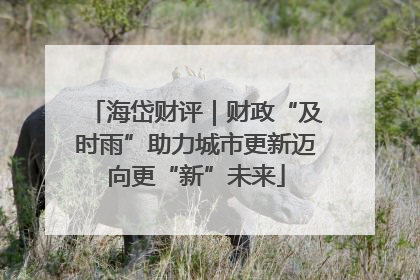 海岱财评｜财政“及时雨”助力城市更新迈向更“新”未来