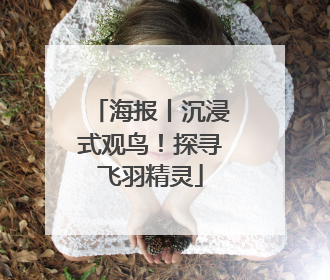 海报丨沉浸式观鸟！探寻飞羽精灵