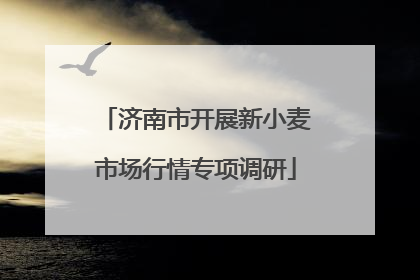 济南市开展新小麦市场行情专项调研